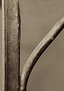 Wall_Art_Alphabet_Photography_Art_ 1912